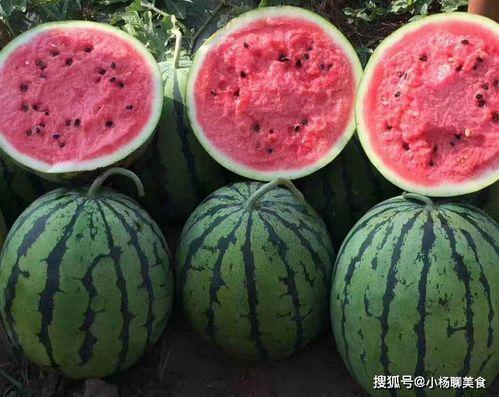 吃瓜网免费官网免费,畅享海量资讯，轻松获取免费福利